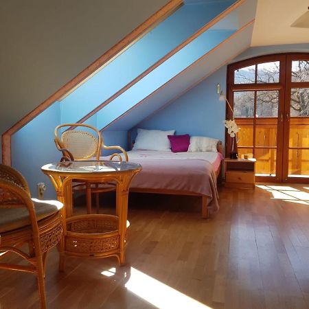 Apartament Intol Z Widokiem Na Sniezke カルパッチ エクステリア 写真
