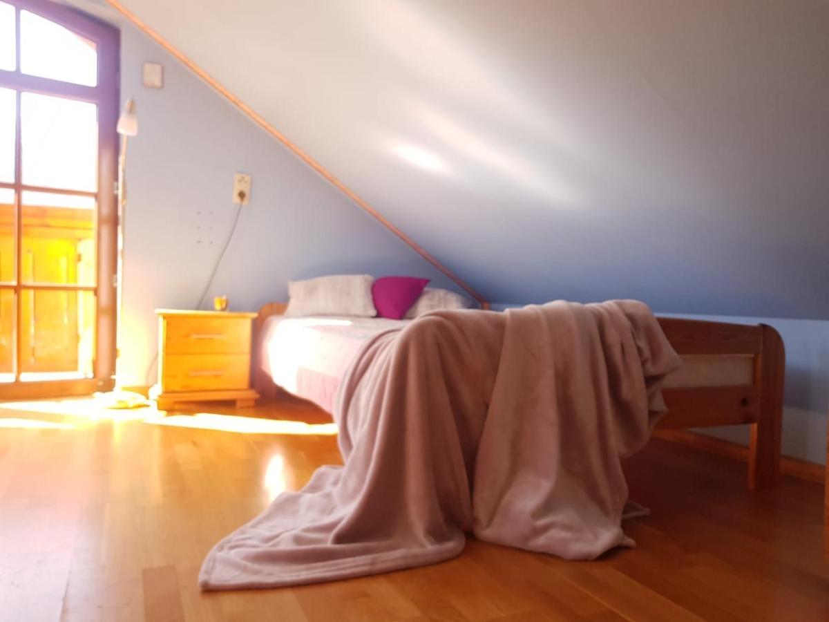 Apartament Intol Z Widokiem Na Sniezke カルパッチ エクステリア 写真